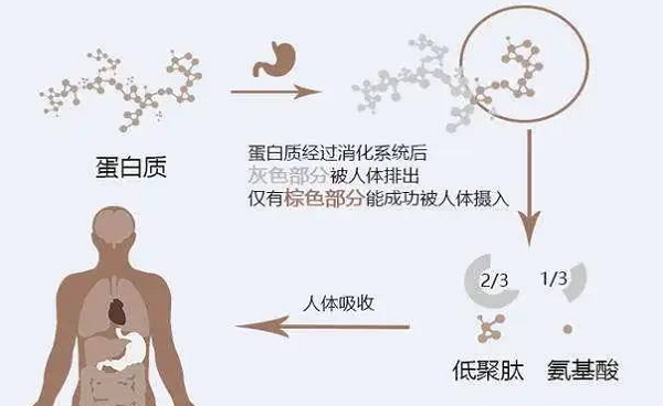 選擇離心濃縮儀時(shí)應(yīng)該注意哪些事項(xiàng)呢？