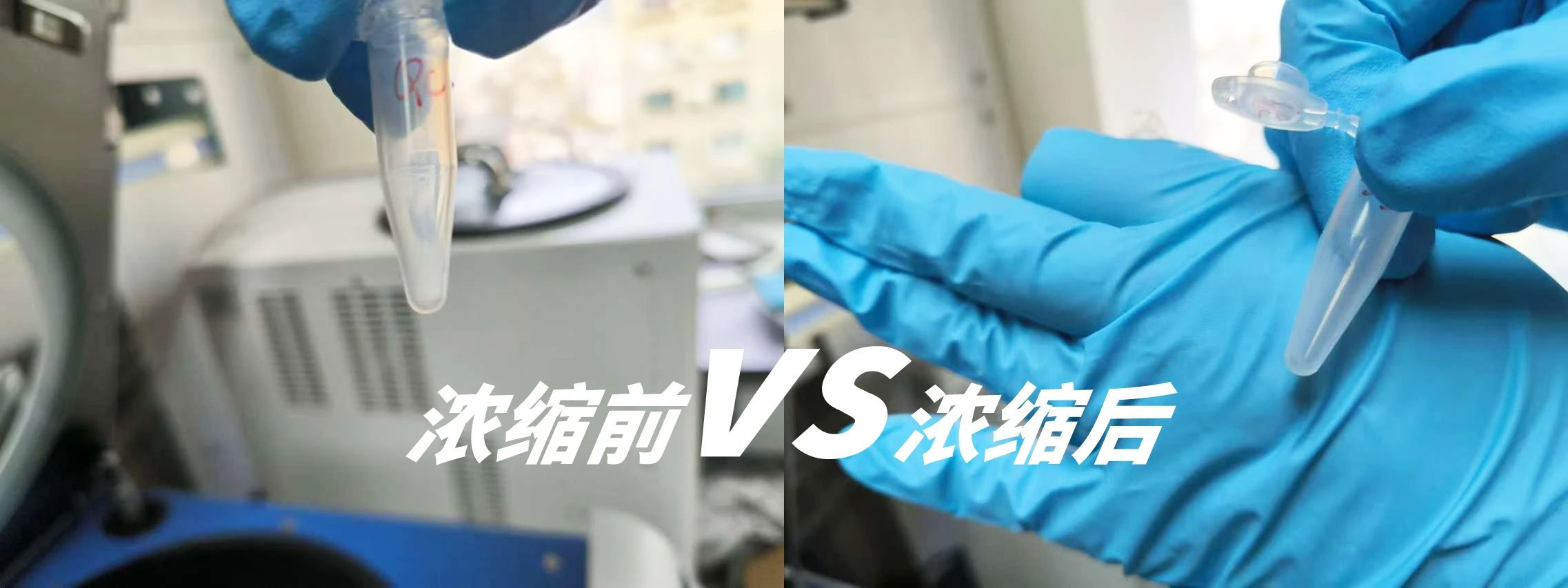 離心濃縮儀在脂質(zhì)代謝物中的應用